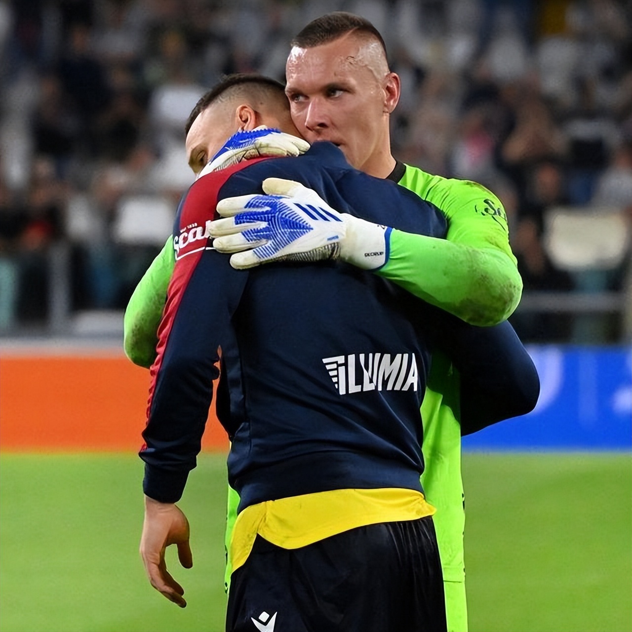 的高度认可 的高度认可