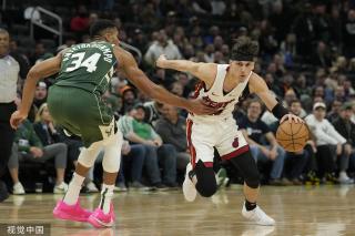 高2米的梅 高2米的梅